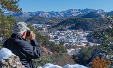 Shimla & Amristar